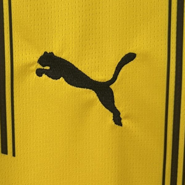 kb-167395818-2 Dortmund 24/25 Home Jersey