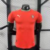 Portugal 2025 Home Player Version Jersey