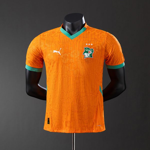 Ivory Coast 2025 Home Player Version Jersey