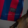 Barcelona 13/14 Home Retro Jersey
