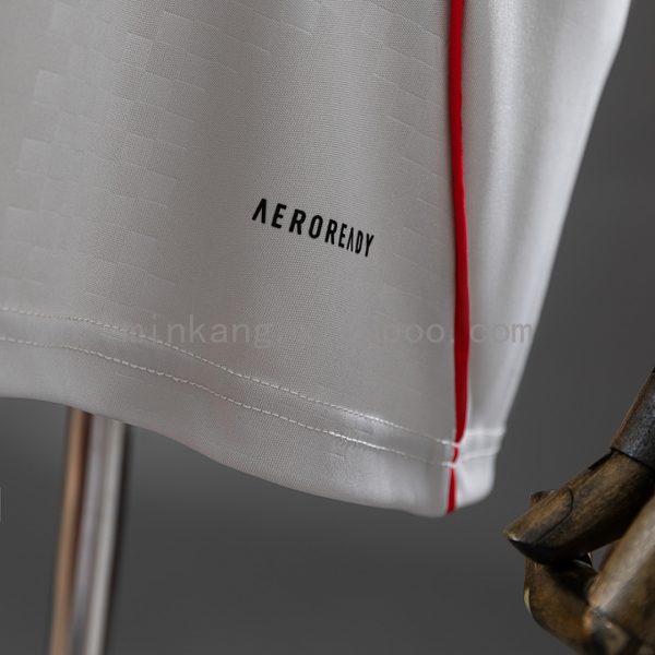 Benfica 25/26 Away Jersey