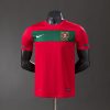 Portugal 2010 Home Player Version Retro Jersey