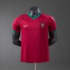 Portugal 2006 Home Player Version Retro Jersey